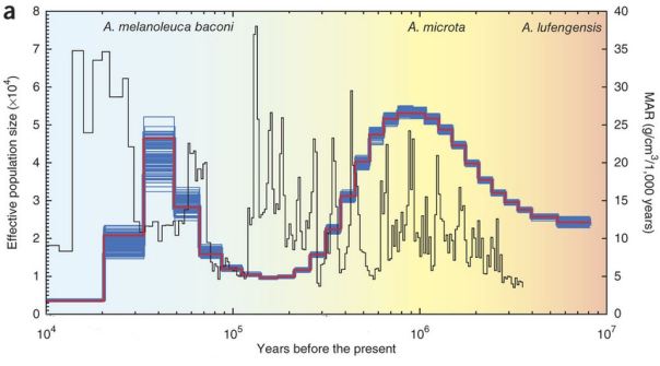 Fig 1. Demographic history from the panda's origin to 10,000 years ago, showing two expansions followed by two bottlenecks (blue and red lines). Change in climatic conditions is shown with the thin borwn line. High values represent cold and dry conditions, low values indicate warm and wet conditions. The approximate chronological ranges of three fossil panda species or subspecies (primal, pygmy and baconi panda) are shaded in pink, orange and blue, respectively. 